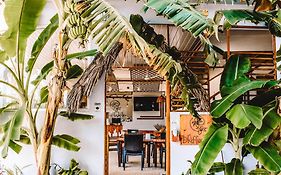 Dhiffushi Inn